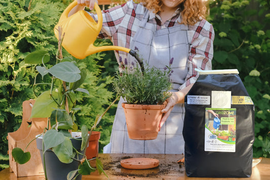 Grozome Plant and Soil Probiotic