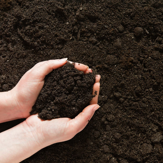 Greenleaf Farm BioChar Dust (Third Party Manufacture)