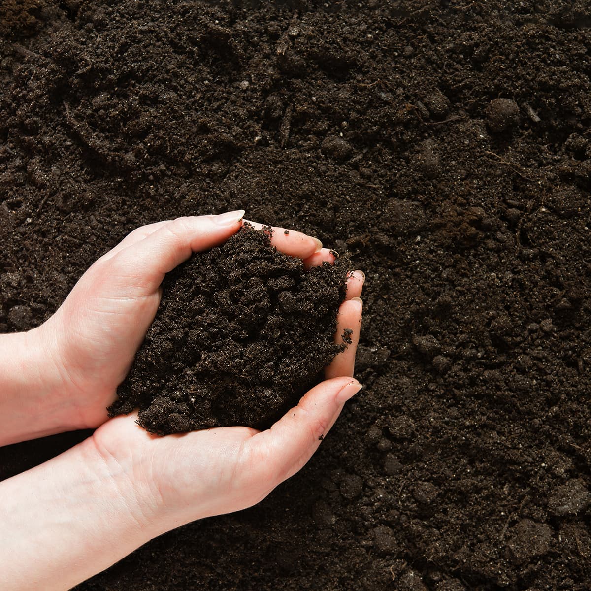 Greenleaf Farm BioChar Dust