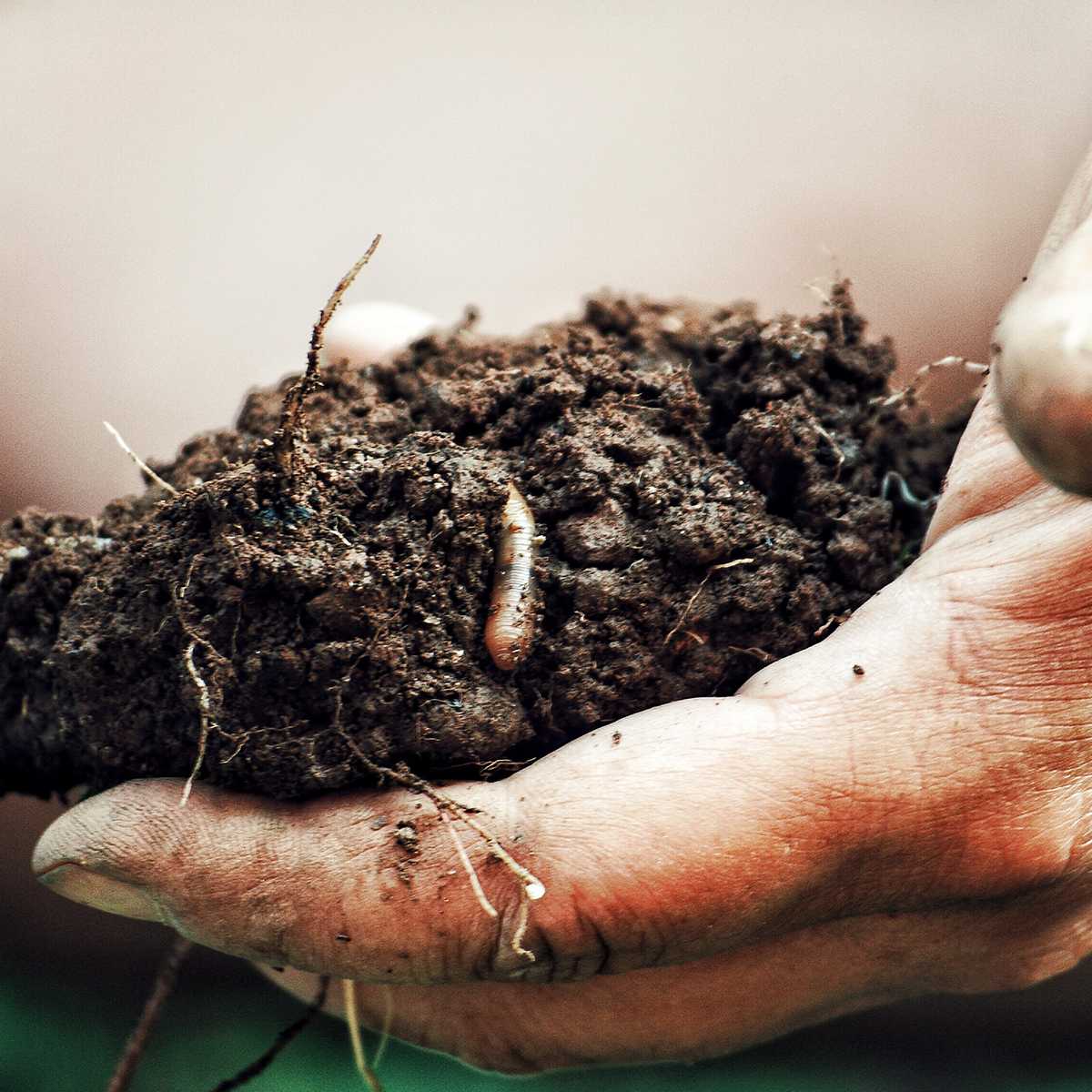 Greenleaf Farm Bulk Worm Castings