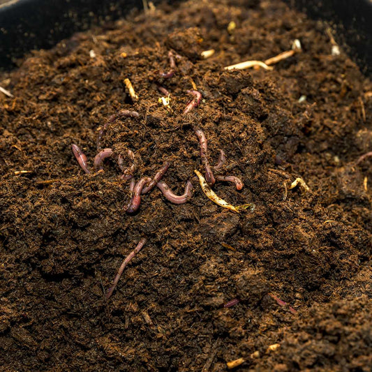 Greenleaf Farm Worm Castings
