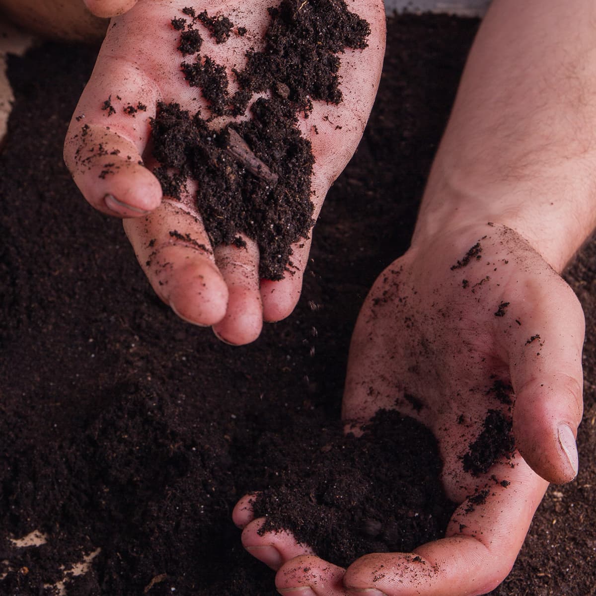 Greenleaf Farm Worm Castings Plus Worm Eggs Material