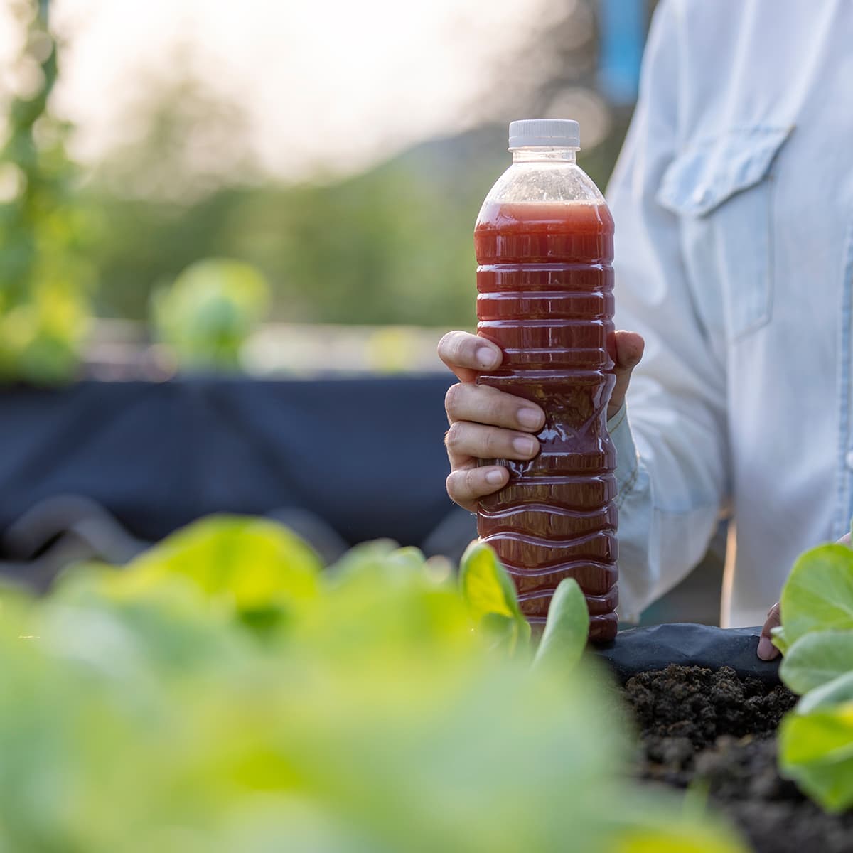Greenleaf Farm Liquid Extract